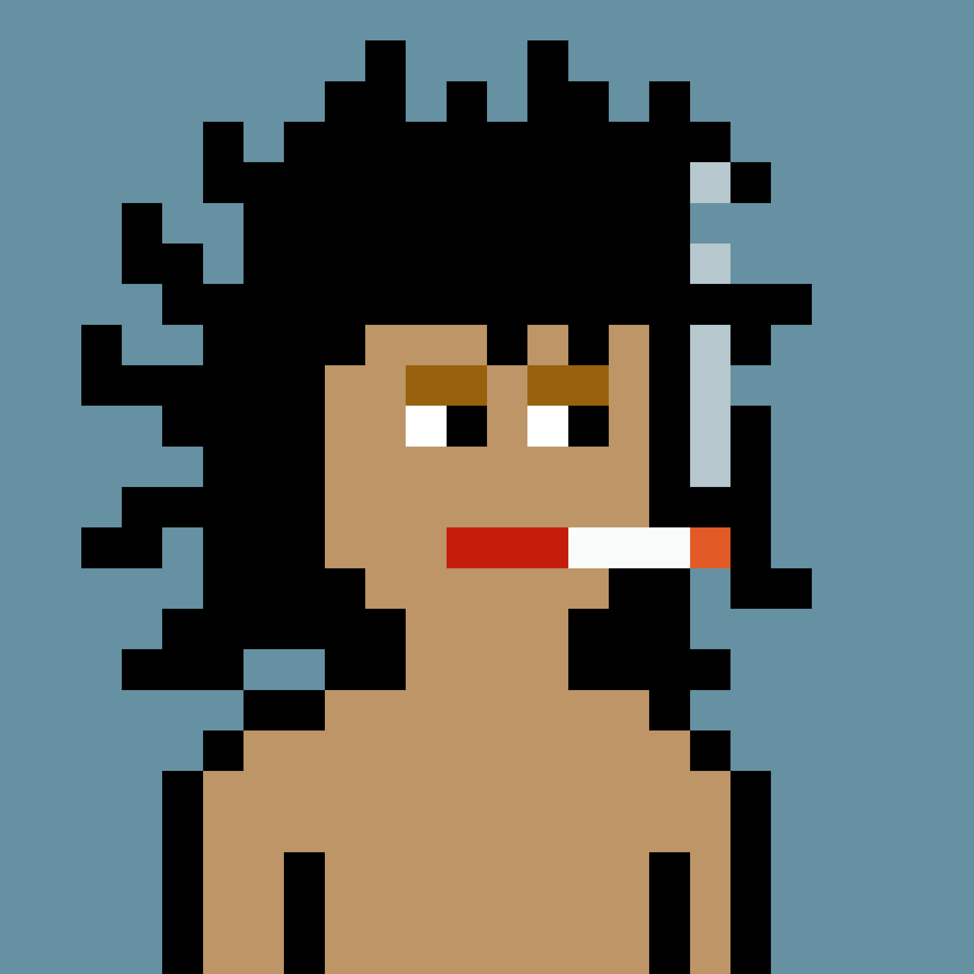 V0 Punk #4030